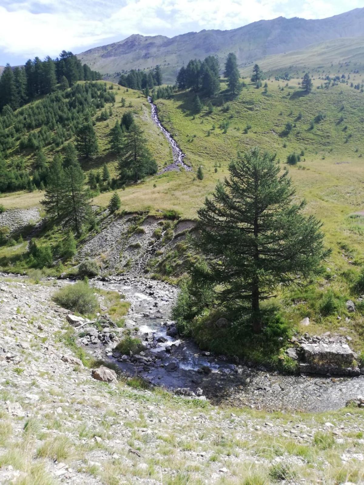 App Vue Montagne Barcelonnette Proche Piscine Rando Riviere Nature Exterior photo